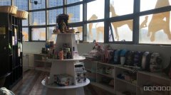 （成功案例）万达中心宝能城宠物店转让