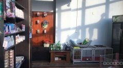 （成功案例）万达中心宝能城宠物店转让