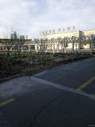 （成攻案例）五层办公楼整体出租