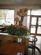 C5038店面转让 昌吉市文化宫转盘附近