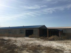 C5079厂房出租 位于昌吉市滨湖乡驾考中心附近