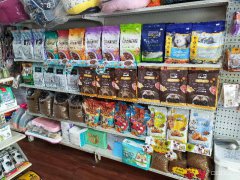 C5082昌吉市延安南路临街YOYO宠物店转让