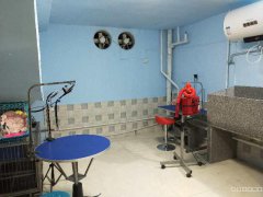 C5082昌吉市延安南路临街YOYO宠物店转让