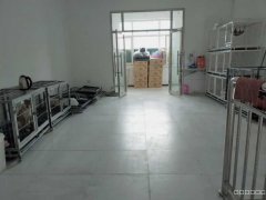 C5082昌吉市延安南路临街YOYO宠物店转让