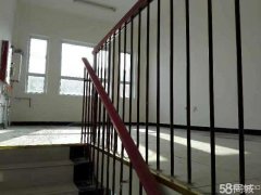 C5162九鼎国际食品城20栋14号商铺出租