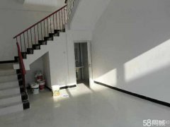 C5162九鼎国际食品城20栋14号商铺出租