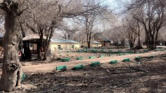 （成功案例）C5164温泉东路葛家泉庄农家乐出租转让