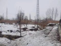 C5284院子带房屋出租