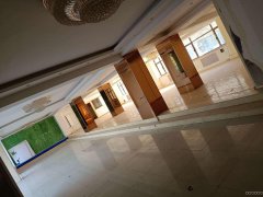 C5369植物园对面十字路口旺铺出租