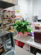 C5508高铁北广场美食街档口转让