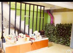 C5561雅山新天地115中学对面儿童摄影店转让