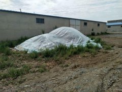 C5659厂房出售 位于昌吉北沟二村养殖区结构性厂房