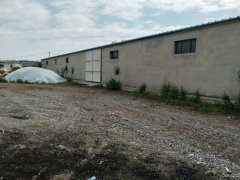 C5659厂房出售 位于昌吉北沟二村养殖区结构性厂房