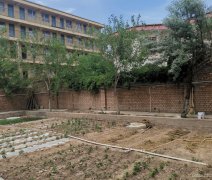 C5671自建房出租 昌吉市三工镇常胜村五组