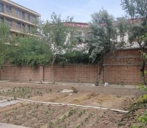 C5671自建房出租 昌吉市三工镇常胜村五组