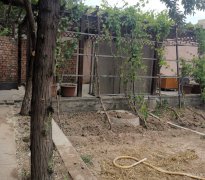 C5671自建房出租 昌吉市三工镇常胜村五组