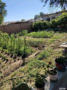 C5820厂房出租 位于昌吉市滨湖一队结构性院落出租