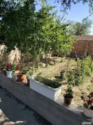 C5820厂房出租 位于昌吉市滨湖一队结构性院落出租