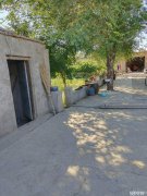 C5820厂房出租 位于昌吉市滨湖一队结构性院落出租