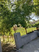 C5820厂房出租 位于昌吉市滨湖一队结构性院落出租