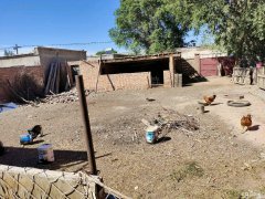 C5820厂房出租 位于昌吉市滨湖一队结构性院落出租