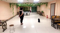 C6014八道湾三队餐厅转让