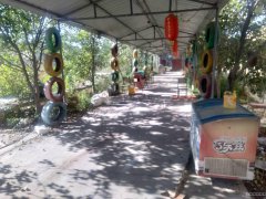 C6249农家乐出租 位于昌吉市城南特变商务区附近