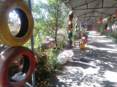 C6249农家乐出租 位于昌吉市城南特变商务区附近