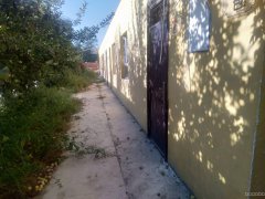 C6249农家乐出租 位于昌吉市城南特变商务区附近