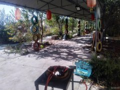 C6249农家乐出租 位于昌吉市城南特变商务区附近