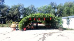 （成功案例）C6258安宁渠镇附近大型农家乐转让