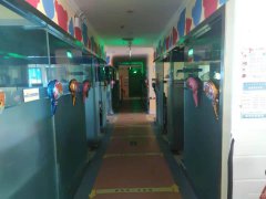 （成功案例）C6277新市区恒顺街59克拉临街教培中心旺铺转