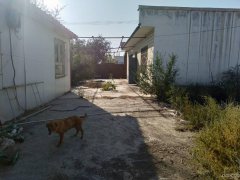 C6344厂房出租 位于昌吉市北绕城思源村附近胜利一队