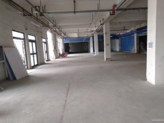 C6484商铺招租 位于五家渠市繁华地段商铺招租