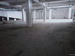 C6484商铺招租 位于五家渠市繁华地段商铺招租