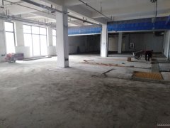 C6484商铺招租 位于五家渠市繁华地段商铺招租