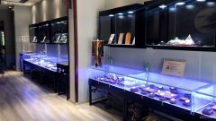 C6520南湖华凌公馆南门旺铺转让