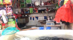 C6584西山西街农贸市场活鱼店转让