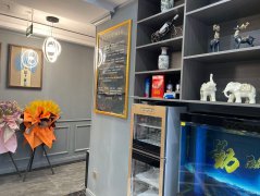 C6606青年路碱泉街高档地段足浴养生会所转让