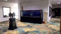 C6687青岛路108号独栋整层出租