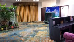 C6687青岛路108号独栋整层出租