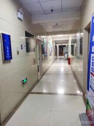 C6612写字间出租 昌吉市北京北路州一小附近