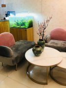 （成功案例）C6885米东区八年老美容院转让