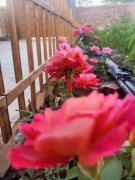 C6948仓库带庭院出租