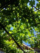 C6989黑龙江温州大厦后院独栋商业综合体