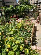 C6989黑龙江温州大厦后院独栋商业综合体