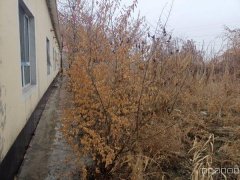 C7040农家乐出租