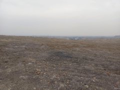 （成功案例）C7082米东区600亩地出租