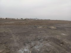 （成功案例）C7082米东区600亩地出租