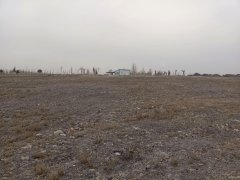 （成功案例）C7082米东区600亩地出租